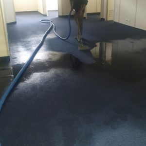 carpet cleaning Adelaide service